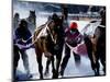 Skijouring, Skiing Behind a Race Horse at Full Gallop, on the Frozen Lake at St,Moritz, Switzerland-John Warburton-lee-Mounted Photographic Print