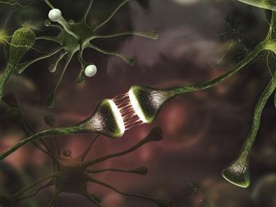 Photographic Print, , small