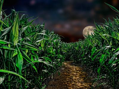 Photographic Print, , small