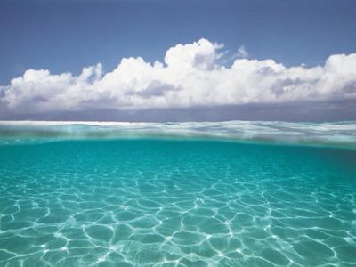 Photographic Print, , small