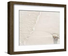 Conch Shell Washed Up on Grace Bay Beach, Providenciales, Turks and Caicos Islands, West Indies-Kim Walker-Framed Photographic Print