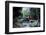 Little Pond in a Rock Crack, Carnarvon Gorge, Queensland, Australia, Pacific-Michael Runkel-Framed Photographic Print