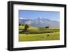 Prealps Landscape with a Cottage and Cows-Markus Lange-Framed Photographic Print