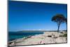 Rocky Cliffs on Shelley Cove Near Eagle Bay, Western Australia, Australia, Pacific-Michael Runkel-Mounted Photographic Print