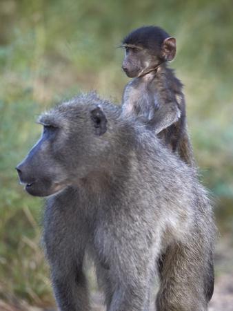 Photographic Print, , small