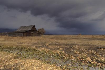Photographic Print, , small