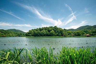 Photographic Print, , small