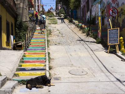 Photographic Print, , small