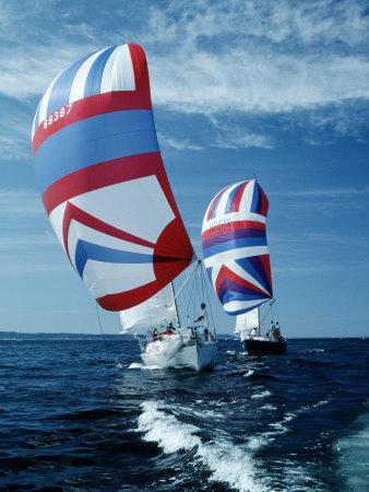 Photographic Print, , small