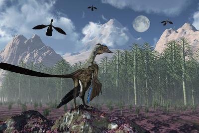 Premium Giclee Print, , small