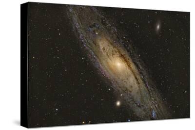 Stretched Canvas Print, , small