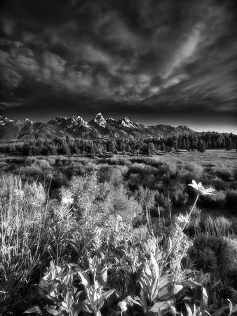 Premium Photographic Print, , small
