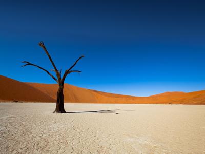 Premium Photographic Print, , small