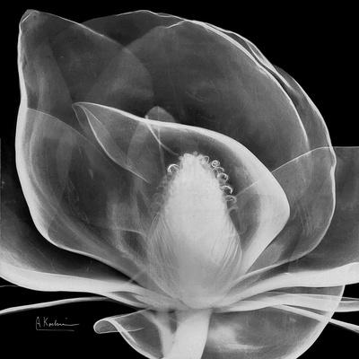 Premium Giclee Print, , small