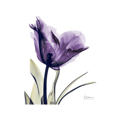 Premium Giclee Print, , small
