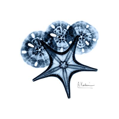 Premium Giclee Print, , small