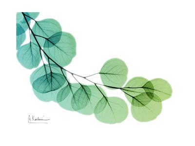 Premium Giclee Print, , small