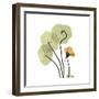 Nasturtium 1-Albert Koetsier-Framed Premium Giclee Print