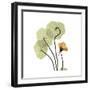 Nasturtium 1-Albert Koetsier-Framed Premium Giclee Print