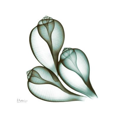 Premium Giclee Print, , small