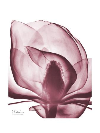 Premium Giclee Print, , small