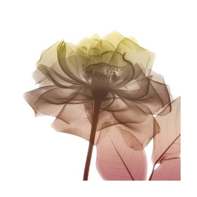 Premium Giclee Print, , small