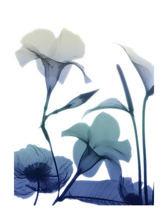 Premium Giclee Print, , small