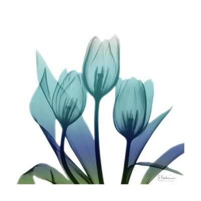 Premium Giclee Print, , small