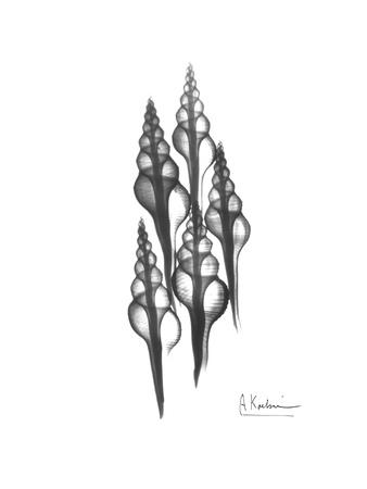 Premium Giclee Print, , small