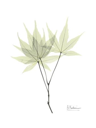 Premium Giclee Print, , small