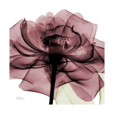 Premium Giclee Print, , small