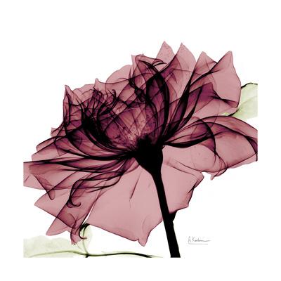 Premium Giclee Print, , small