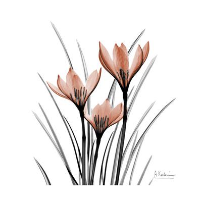 Premium Giclee Print, , small