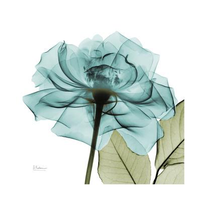 Premium Giclee Print, , small