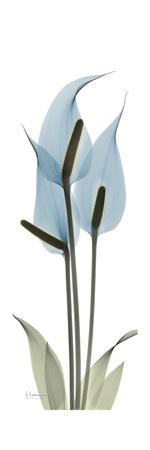 Premium Giclee Print, , small