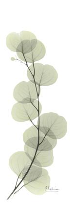 Premium Giclee Print, , small