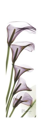 Premium Giclee Print, , small