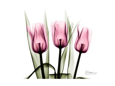Premium Giclee Print, , small