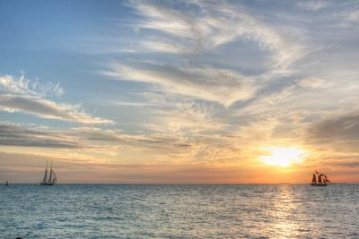 Premium Photographic Print, , small