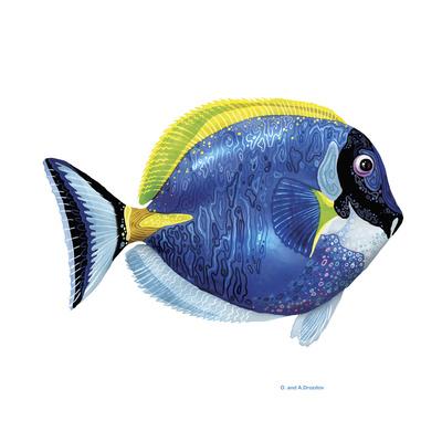 Giclee Print, , small