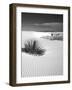 USA, New Mexico, White Sands National Monument. Bush in Desert Sand-Dennis Flaherty-Framed Photographic Print