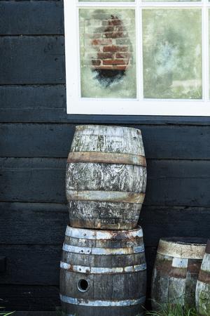 Photographic Print, , small