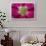 USA, Washington State, Seabeck. Hollyhock Blossom Composite-Don Paulson-Framed Photographic Print displayed on a wall