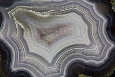 Photographic Print, , small