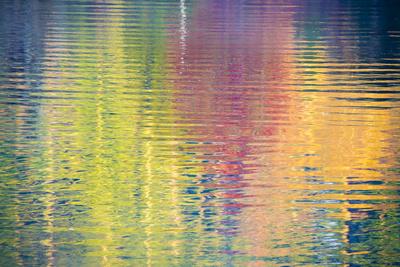 Photographic Print, , small