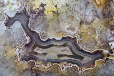 Photographic Print, , small