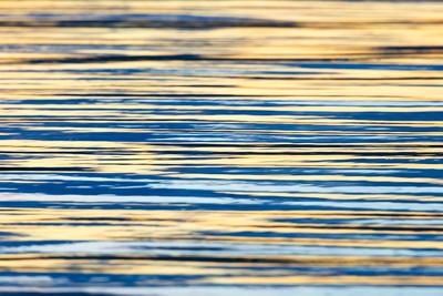 Photographic Print, , small