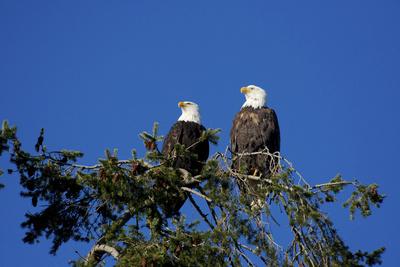 Photographic Print, , small