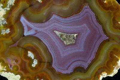 Photographic Print, , small