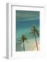 Hawaii, Oahu, Honolulu, Waikiki, Fort Derussy Beach and Palm Trees-David Wall-Framed Photographic Print